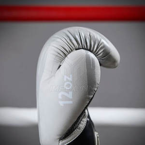 Concevez vos propres gants de boxe avec logo, gants de boxe en stock, vêtements d'entraînement de boxe, équipement de boxe, gants - Product Image 4