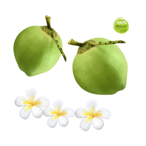 Refresque sus batidos con cocos jóvenes Ingrediente agrícola fresco - Product Image 2