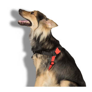 Fatboy Luxury Tactical Pet Harness Simple Solid Small/Medium Walk Harness Customizable Nylon Neoprene Polyester for Dog Walking - Product Image 4