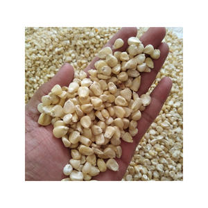 Maíz Blanco para comercio al por mayor con precio de fábrica y envío rápido - Product Image 6