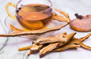 Champignon Reishi sec de haute qualité (Lingzhi) Prix compétitif du Vietnam - Product Image 3