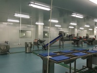 Automatische Groente-en Wassen Snijden Verwerking Productielijn Salade Sla Verwerking Apparatuur