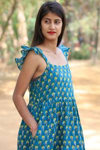 Main bloc imprimé robe sans manches coton indien robe d'été bleu longue robe avec main bloc imprimé Floral Design ODM approvisionnement - Product Image 4