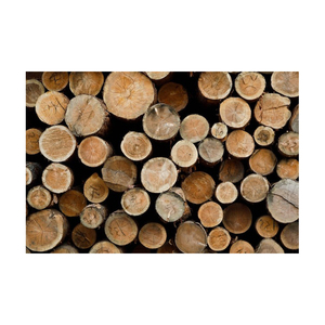 Kiln Dried Birch Firewood Logs 25cm Kiln Dried Firewood Oak And Beech Logs Mangrove Hardwood Firewood For Sale