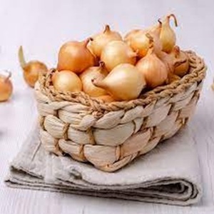 Distribuidor principal de cebollas frescas orgánicas seleccionadas a mano y exportadas a todo el mundo a precios competitivos - Product Image 6