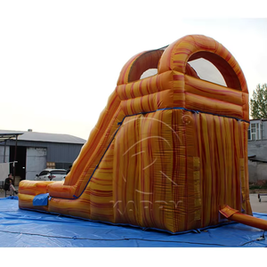 Tropical Palm Tree <b>Inflatable</b> <b>Water</b> <b>Slide</b> Commercial Grade PVC <b>Inflatable</b> Bouncer <b>Slide</b> Combo Large Outdoor Blow Up Splash Pool - Product Image 2
