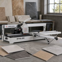 Machine automatique de chanfreinage de carreaux DY-SL-250 avec rail de guidage, module de rainurage et de chanfreinage de haute précision de cinquième génération, meuleuse d'angle