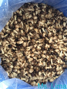 Champiñones en Salmuera para Exportación - Alta Calidad, Naturales, Limpios y Listos para Procesar, OEM Disponible/ Sra. Lima - Product Image 2