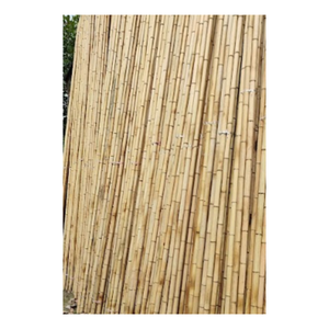 Durable, Natural, High-Grade Materials High Quality Natural Strong Straight Bamboo <b>Pole</b> <b>Gardening</b> From Vietnam - Product Image 4