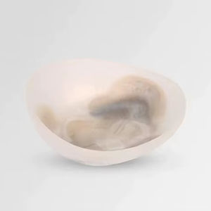 Bol de service en résine biologique sculpté, ensemble de bols de service jetables non revêtus, style américain, cadeau d'affaires pour la maison - Product Image 1