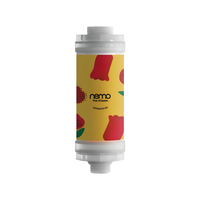 Filtre de douche en plastique NEMO Fire Rose Corée, 24 parfums, auto-remplaçable, vitamine C, à fixer sur robinet, 2 étapes, pour chlore résiduel, 1 an