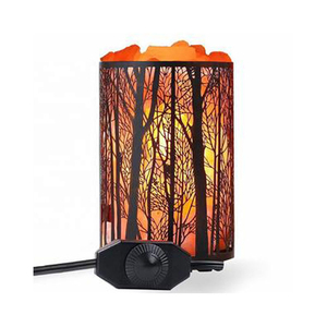 Fabricant prix de gros panier en bois de l'Himalaya morceaux de sel meilleure vente technique sculptée directement du Pakistan 2025 - Product Image 5