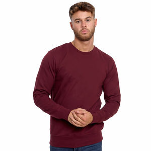 OEM/ODM 450GSM, sudadera de lana de algodón de gran tamaño para hombre, Sudadera con capucha de cuello redondo y logotipo impreso personalizado para invierno, sudadera gruesa para hombre - Product Image 5