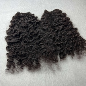 Vietnamese Natural Human Hair Cuticle Aligned Human Hair Burmese Curly Bundles 8-40 Inches Natural Color Super Double Drawn - Product Image 1