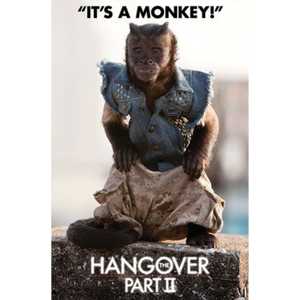 Póster Moderno de The Hangover 2 con Diseño de Mono para Decoración de Pared - Product Image 1