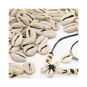 Adorno artesanal Natural de concha de Caracol de Cowry para estilo de casa de playa y acentos decorativos ecológicos - Product Image 3