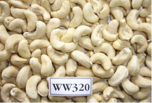 เม็ดมะม่วงหิมพานต์จากเวียดนาม - Product Image 3