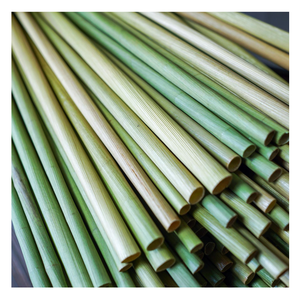 Article chaud Paille à boire en herbe écologique Pailles à herbe naturelle avec le meilleur prix Pailles premium pour smoothies, boire - Product Image 1