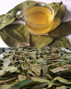 Feuilles de corossol séchées naturelles / Prêtes à être expédiées - Product Image 4