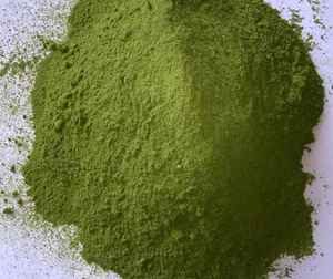 Fournisseur en gros en vrac de suppléments riches en nutriments en poudre de feuilles de Moringa sans gluten 7.05 Oz (200g) de qualité supérieure - Product Image 4