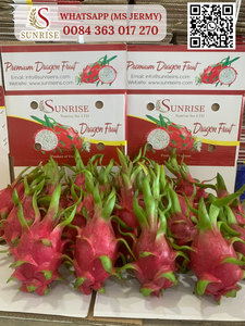 Verse Draak Fruit Premium Grade Vietnam Oorsprong Gezond