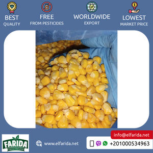 Maíz dulce congelado de calidad premium natural 100% a granel exportado a Egipto, mercado mayorista, precio competitivo suministrado - Product Image 2