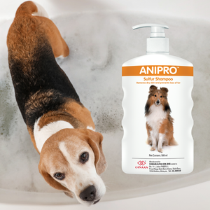 Shampoo au Soufre pour Chien Recommandé par les Vétérinaires Qualité Assurée Anipro Efficace pour Soulager la Peau Sensible et Favoriser la Repousse Saine du Pelage - Product Image 1