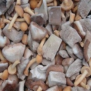 Champignons frais congelés sains et délicieux à vendre au prix de gros - Product Image 2