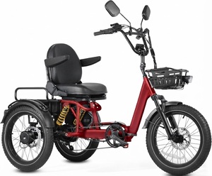 Triciclo Elettrico Pieghevole a Sospensione Completa per Adulti, in Lega di Alluminio, con Sensore di Coppia, 32 km/h, 160 km di Autonomia, Pneumatici Fat da 20×3 Pollici - Product Image 1