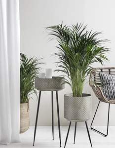 Maceta Grande de Metal con Soporte Diseñada para Plantas Más Grandes para Interiores de Hogar, Oficinas y Vestíbulos - Product Image 6