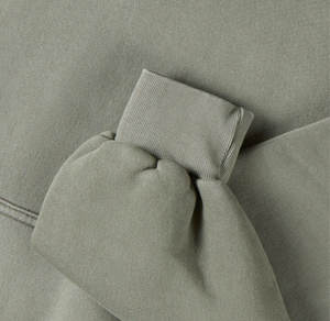 100% coton 350g poids lourd tissu hommes à capuche brodé Design rue mode automne couleur unie sweat numérique hiver - Product Image 3