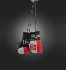 OEM venta al por mayor personalizados Mini guantes de boxeo llavero PU cuero Polonia país bandera coche colgante ornamento para artes marciales boxeo - Product Image 2