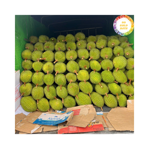 ทุเรียนสดจากเวียดนามบรรจุในทุเรียนสด99ข้อมูลทองคำเหมาะสำหรับตลาดค้าปลีกและอุตสาหกรรมอาหาร - Product Image 2