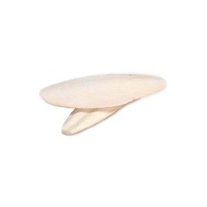 Bulk Lightweight Frozen <b>Cuttlefish</b> Bones for Bird Care - Product Image 5