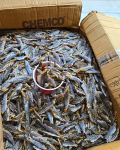 ปลาเฮอร์ริ่งอบแห้งโปรตีนสูงสำหรับการแปรรูปอาหาร - Product Image 6