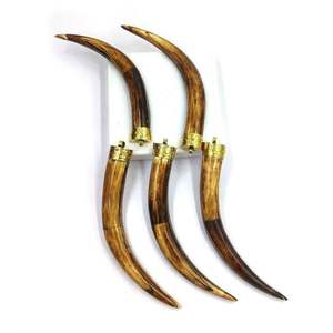 Colgante de diente de lobo natural al por mayor, dientes de animales chapados y abalorio de hueso turquesa para joyería para colgante - Product Image 4