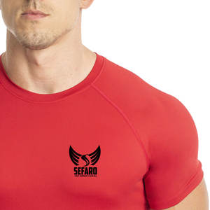 Ropa de gimnasio Transpirable Hombres Fitness Camisetas Venta caliente Fitness Camisetas Peso ligero Fitness Camisetas - Product Image 4