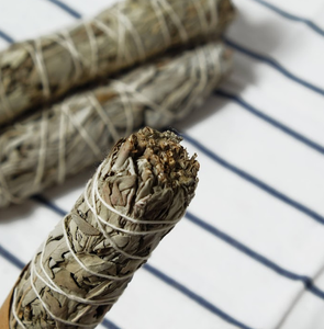 ใบสะระแหน่สีขาวพรีเมี่ยมจากเวียดนาม | สมุนไพรธรรมชาติสำหรับทำความสะอาดชาและน้ำมันหอมระเหย - Product Image 2