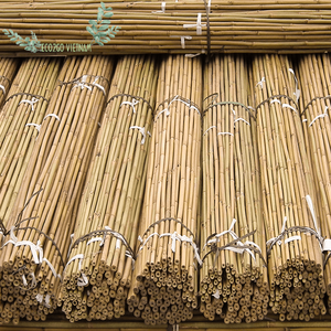 Piquet en bambou 2025 naturel et brut/canne en bambou/poteau en bambou de haute qualité pour la construction, l'agriculture - Product Image 4