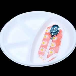 Global Nexo Export Assiette jetable de luxe écologique de 10 pouces de haute qualité en CP Bagasse Aliments biodégradables à emporter GNE10CP - Product Image 3