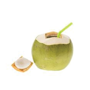 Gemme de fruits frais de noix de coco blanche vietnamienne de qualité d'exportation Taux compétitifs Caractéristiques personnalisées Améliorez vos offres - Product Image 1