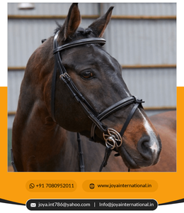 Eafher-Ridle, ribete de pestañas - Product Image 6