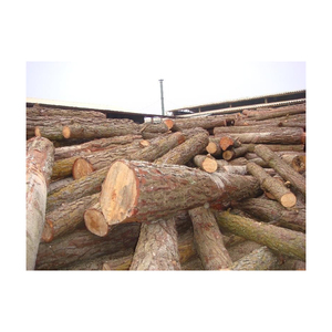 Gran oferta de aserraderos de madera maciza, varias especies de madera, incluido el abedul de alerce de abeto de pino - Product Image 1