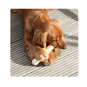 El lento proceso de maduración mejora la profundidad del café, haciéndolo más suave y menos ácido. - Product Image 6