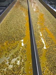 ผู้ผลิตเวียดนามจำหน่ายเสาวรสแช่แข็งจำนวนมาก - Product Image 4