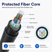 Cable Óptico Blindado OEM GYTA GYTS para Exteriores, Monomodo, Tubo Suelto, Línea de Fibra de 4, 12, 24, 48, 144 Núcleos para Proyectos de Telecomunicaciones