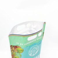 Sac poche alimentaire 3L avec valve, impression en héliogravure pour l'emballage de boissons (jus, sodas, boissons énergisantes et plus)