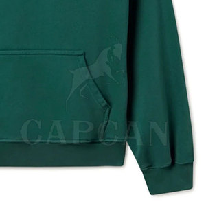 Fabrication professionnelle, sweat-shirts à capuche pour femmes en coton 100%, décontractés, à manches longues, design personnalisable, collection hiver, tricotés - Product Image 2