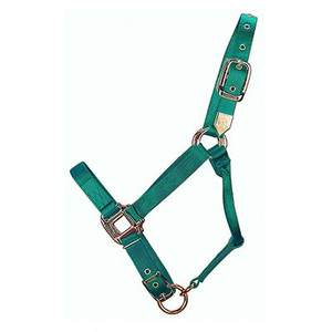 Manufacturer Hot Selling Equestrian Products Adjustable Nylon Horse Riding - Product Image 1