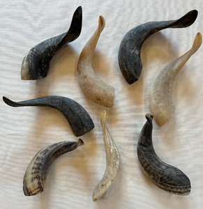 Cuerno de cabra natural Cantidad a granel disponible y embalaje personalizado Cuerno de masticar de perro de cabra Precio de fábrica India - Product Image 4